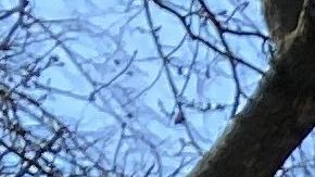 La advertencia sobre distanciamiento social en un parque de Queens.