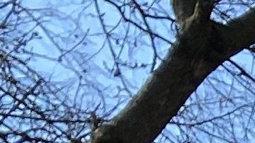 La advertencia sobre distanciamiento social en un parque de Queens.