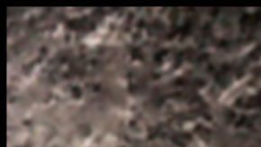 indocumentados frontera