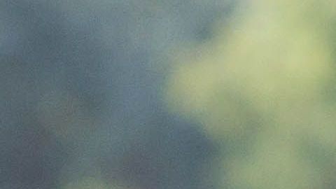 La infidelidad sexual provoca mayor angustia en los hombres que en las mujeres, mientras que la infidelidad emocional genera una mayor alteración en las  mujeres que en los hombres, revela un nuevo estudio.