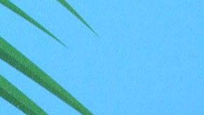 Jaime Camil y Heidi Balvanera