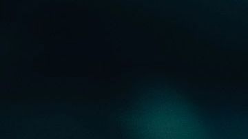 jelena Djokovic noticias falsas