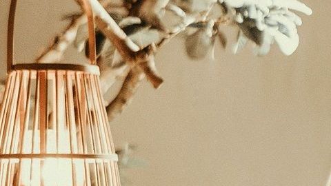 Tengan una cita romántica en algún rincón diferente de la casa.