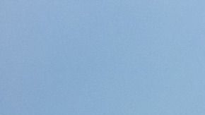 El animal vuela el cometa sin inconvenientes.