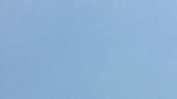 El animal vuela el cometa sin inconvenientes.