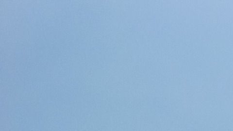 El animal vuela el cometa sin inconvenientes.