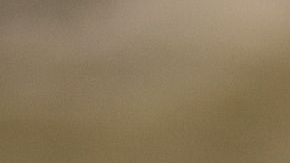 Médicamente se ha demostrado que las mascotas son beneficiosas para la salud física y mental.