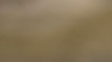 Médicamente se ha demostrado que las mascotas son beneficiosas para la salud física y mental.