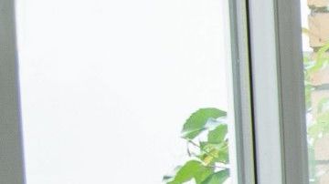 La entrada de luz solar y aire fresco a tu hogar es benéfico para tu salud.