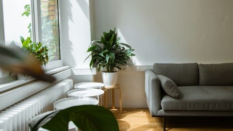 La entrada de luz solar y aire fresco a tu hogar es benéfico para tu salud.