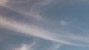 Los signos que tienen un vínculo especial.