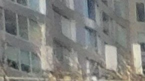 Hay familias que siguen saliendo al súper y caminar en Manhattan.