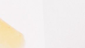 Maria Sharapova se retiró en febrero.