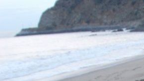 En México se han decomisado más de 15 mil libras de marihuana en 2020