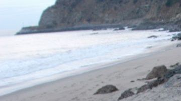 En México se han decomisado más de 15 mil libras de marihuana en 2020