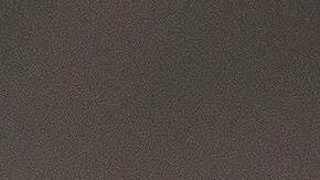 El perro enfermo es un pug.