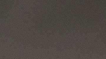 El perro enfermo es un pug.