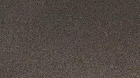 El perro enfermo es un pug.