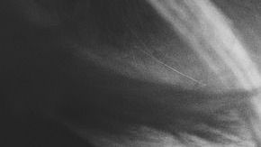 Uno de los alimentos más peligrosos durante la lactancia es el café.