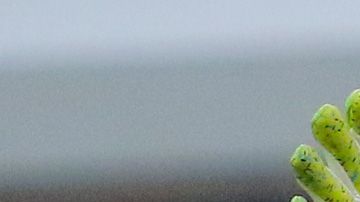 Cruz Azul ganó 2-1 a los felinos.