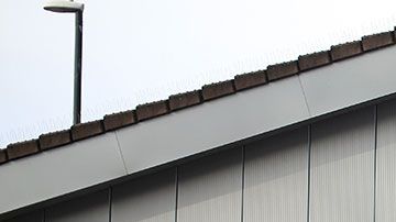 Aldi tiene muy buenos precios, pero este no es motivo suficiente para comprar todo ahí.