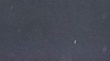 La pareja compartió la noticia en redes sociales.