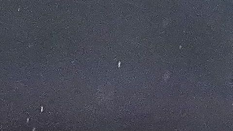 La pareja compartió la noticia en redes sociales.