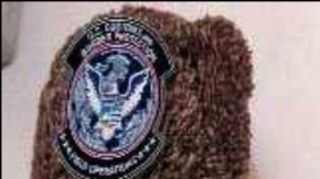 Rellenos de plantas.