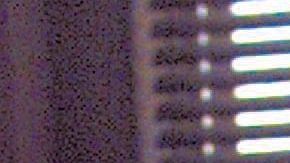 Uno de los programas es el de ayuda a las mujeres que han sido víctimas de abusos en el hogar.