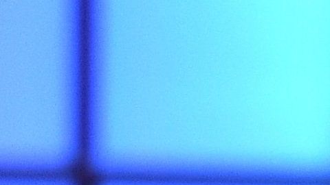 Paige VanZant, estrella del UFC.