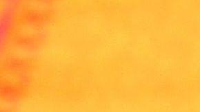 pan mango-俊哉 佐伯 en Pixabay