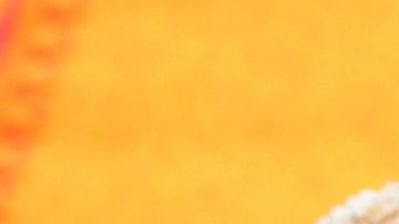 pan mango-俊哉 佐伯 en Pixabay