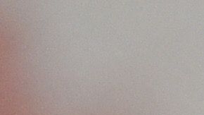 Peláez fue director deportivo de Chivas.