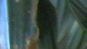 Según diversos estudios, los canes tienen la capacidad de pensar como un niño de 3 a 5 años.