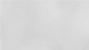 Un can abraza a todos sus compañeritos en la guardería.