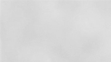 Un can abraza a todos sus compañeritos en la guardería.