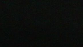 Un canino protagoniza un video en Tik Tok donde reviven una de las mejores escenas de "Shrek".