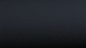 Los perros no comprenden la situación que estamos afrontando.