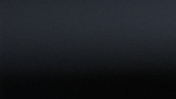 Los perros no comprenden la situación que estamos afrontando.