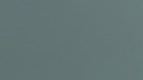 Un perro salió del aburrimiento cuando sus amos le enseñaron a jugar "gato".