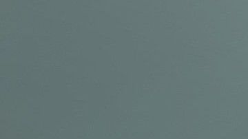 Un perro salió del aburrimiento cuando sus amos le enseñaron a jugar "gato".