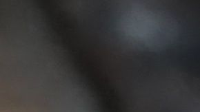 La resequedad de la nariz de tu perro puede deberse a varios factores que no tienen que ver con una enfermedad.