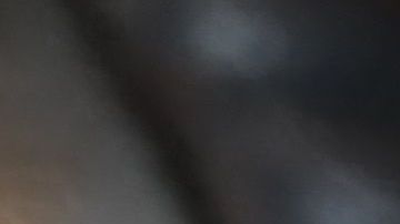 La resequedad de la nariz de tu perro puede deberse a varios factores que no tienen que ver con una enfermedad.