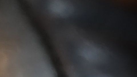 La resequedad de la nariz de tu perro puede deberse a varios factores que no tienen que ver con una enfermedad.
