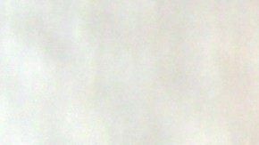 El poderoso olfato canino puede detectar tumores cancerígenos antes de que se formen y otras enfermedades.