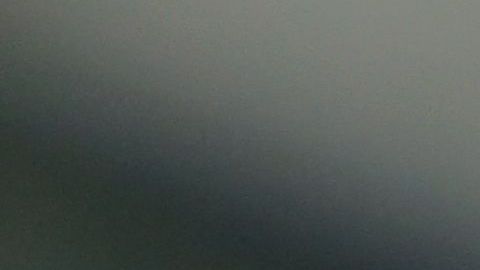 Los perros deben usar un collar de acuerdo a su tamaño y comportamiento.