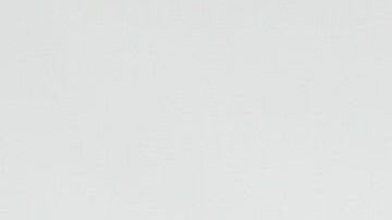 Un perro puede estar triste por muchas razones y se puede deteriorar su salud.