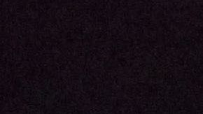 Los perros ancianos tienen menor actividad física.