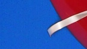 Un can voló al estilo de la película "Up" en un video de Tik Tok.