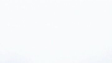 La aceptación de una mascota es un factor determinante para tener o no una relación amorosa.